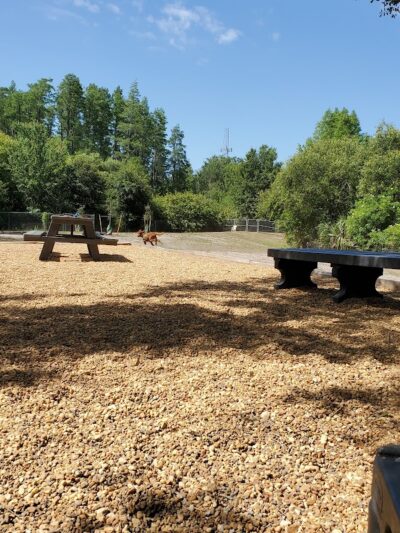 Carolyn Meeker Dog Park - Lutz, FL