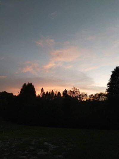 Carolyn Meeker Dog Park - Lutz, FL