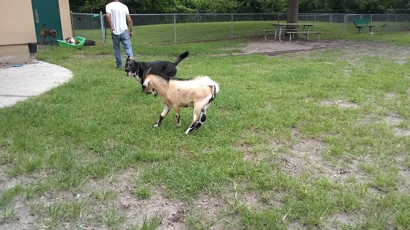 Carolyn Meeker Dog Park - Lutz, FL
