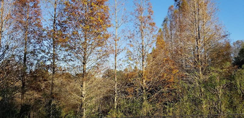 Lutz Dog Park - Lutz, FL