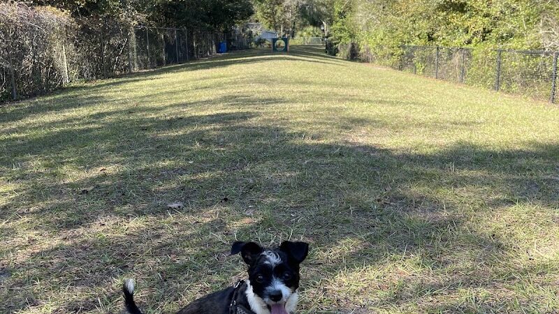 Lutz Dog Park - Lutz, FL