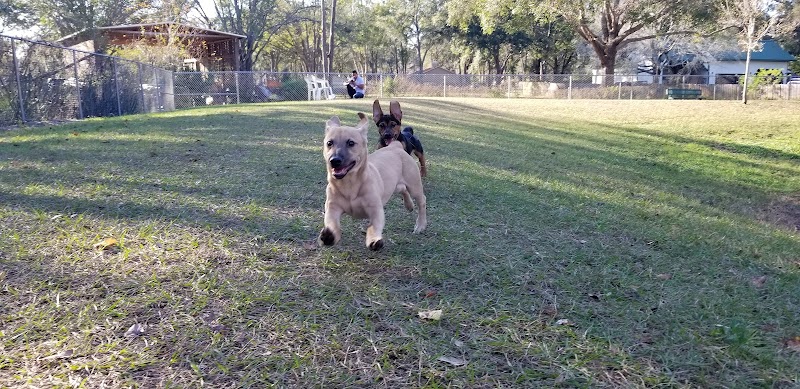 Lutz Dog Park - Lutz, FL
