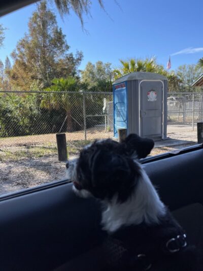 Lutz Dog Park - Lutz, FL