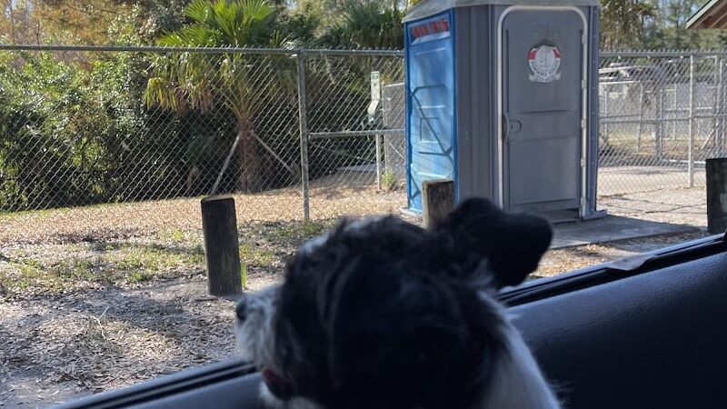Lutz Dog Park - Lutz, FL