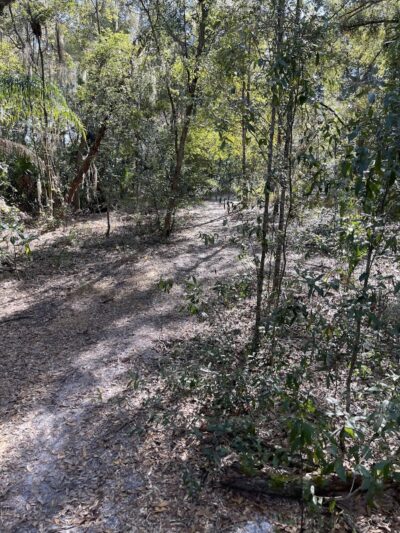 Lutz Dog Park - Lutz, FL