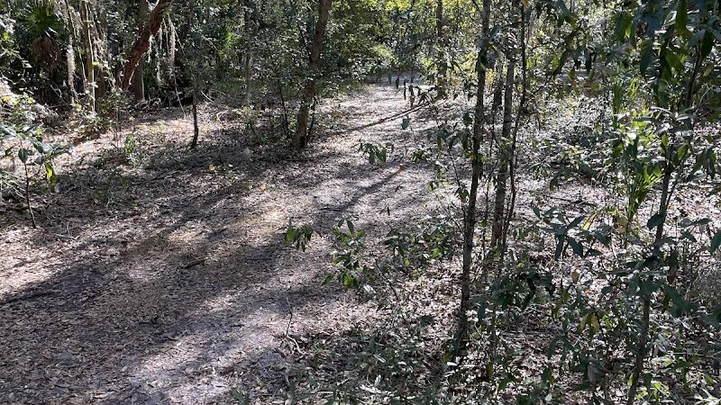 Lutz Dog Park - Lutz, FL