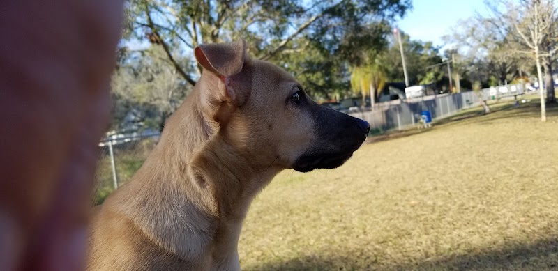 Lutz Dog Park - Lutz, FL