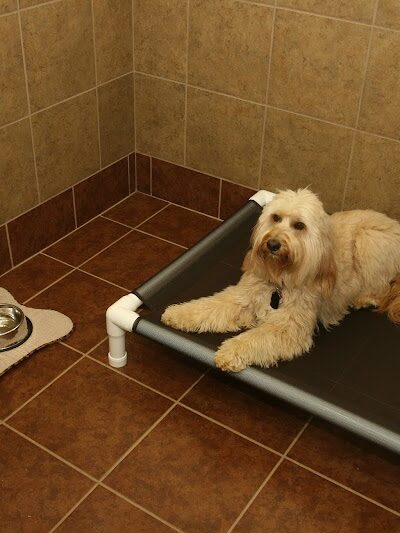 The Ultimate Pet Lodge LLC - Lyman, SC