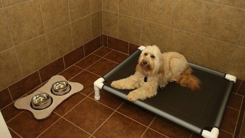 The Ultimate Pet Lodge LLC - Lyman, SC