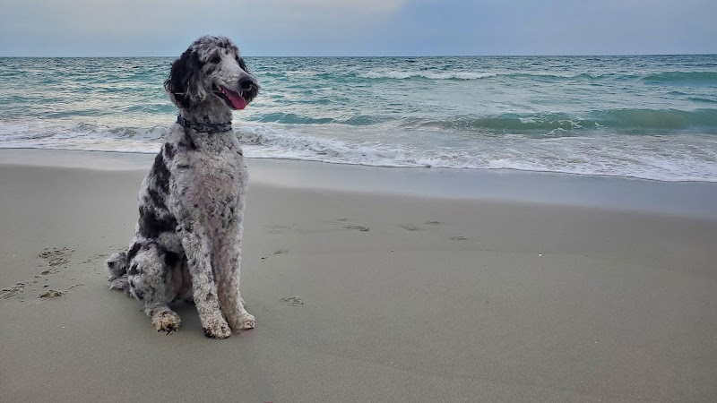 The Ultimate Pet Lodge LLC - Lyman, SC