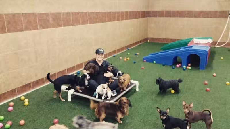 The Ultimate Pet Lodge LLC - Lyman, SC