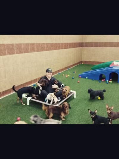 The Ultimate Pet Lodge LLC - Lyman, SC