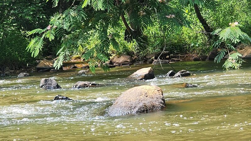 Tyger River Park - Lyman, SC