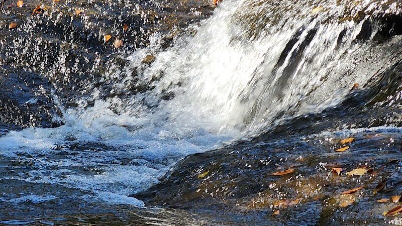Tyger River Park - Lyman, SC