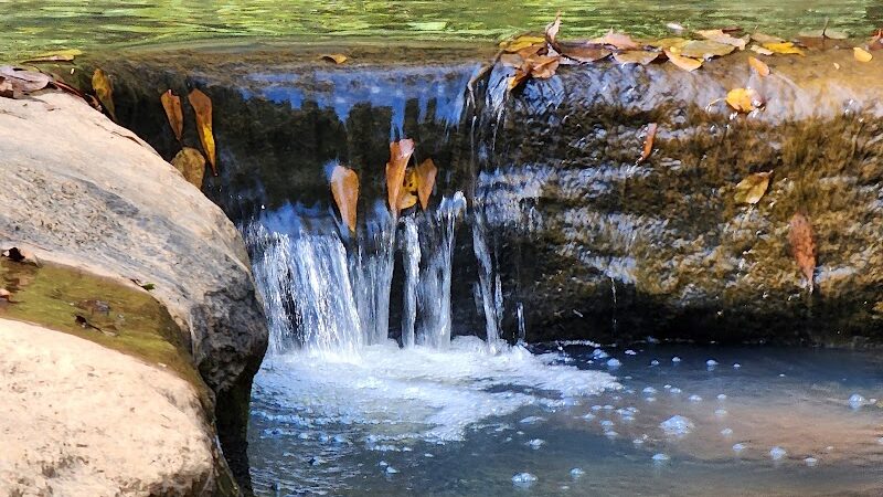 Tyger River Park - Lyman, SC