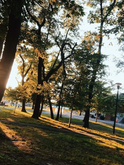 Greis Park - Lynbrook, NY