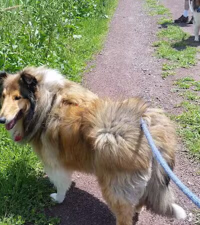 Richard W. DeKorte Park - Lyndhurst, NJ