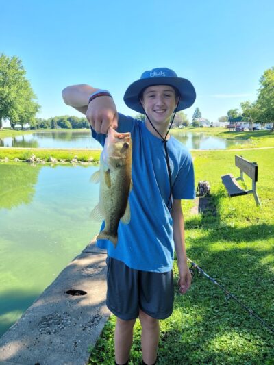 Andover Park - Lynn Center, IL