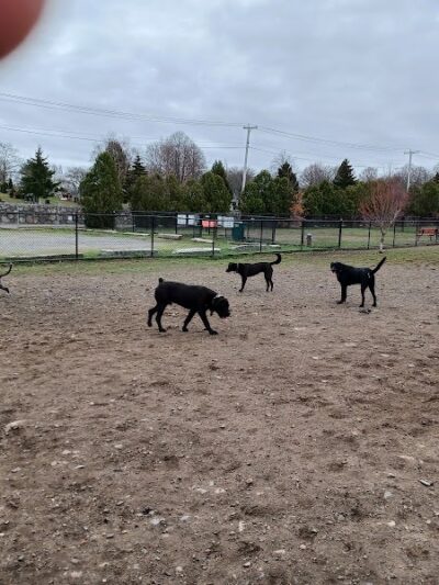 Barkland Avenue Dog Park - Lynn, MA