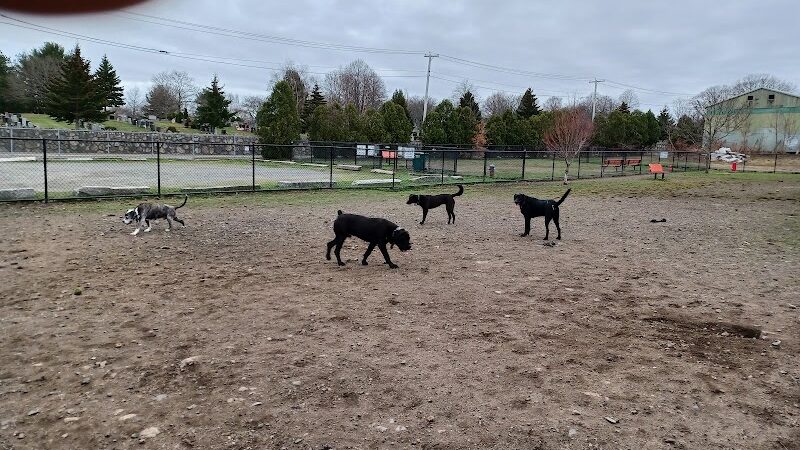 Barkland Avenue Dog Park - Lynn, MA