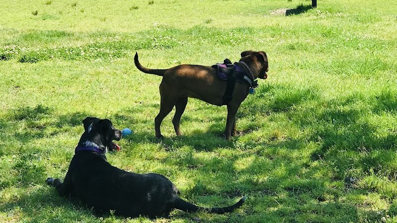 Barkland Avenue Dog Park - Lynn, MA