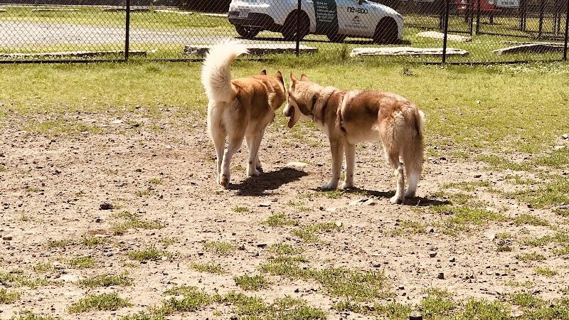 Barkland Avenue Dog Park - Lynn, MA