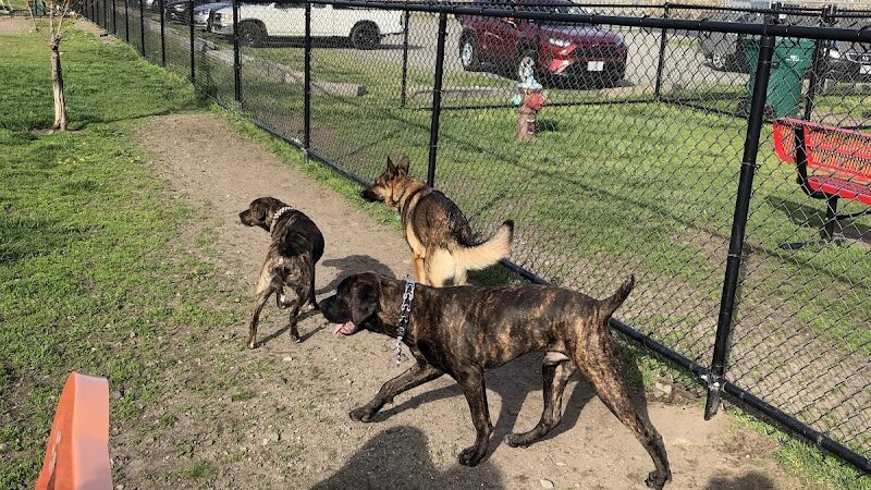 Barkland Avenue Dog Park - Lynn, MA