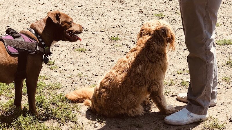 Barkland Avenue Dog Park - Lynn, MA