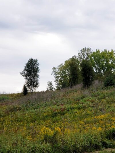 Interlake State Recreation Area - Lynnville, IN