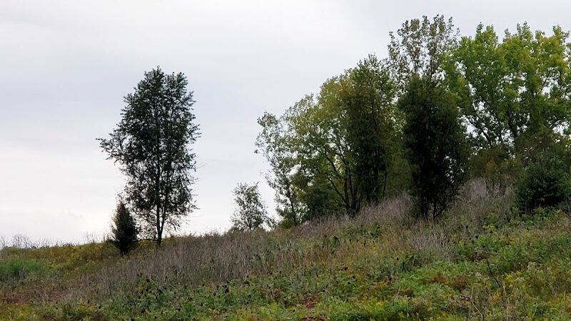 Interlake State Recreation Area - Lynnville, IN