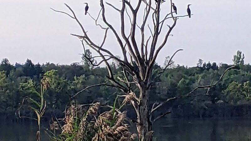 Lynnville Park - Lynnville, IN