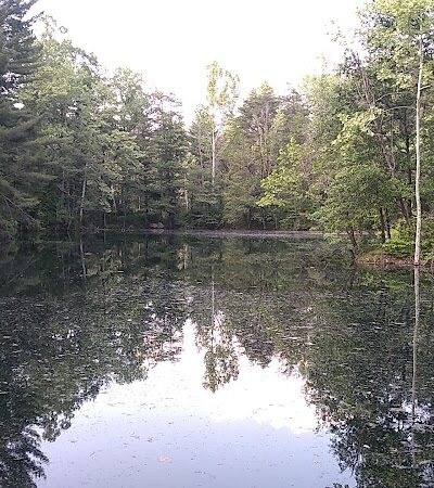 Tecumseh Trail - Lynnville, IN