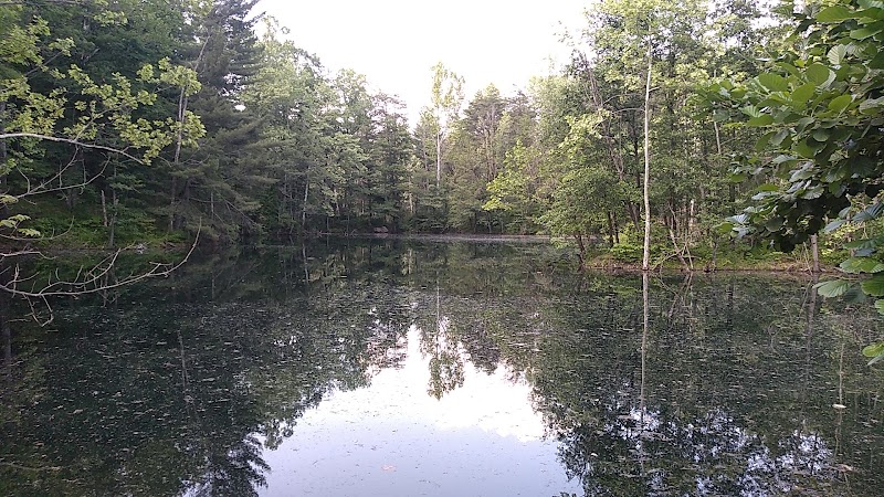 Tecumseh Trail - Lynnville, IN