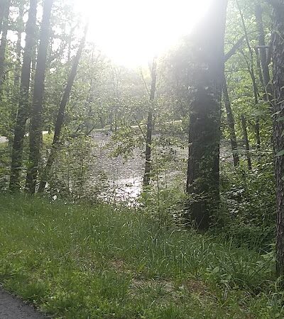 Tecumseh Trail - Lynnville, IN