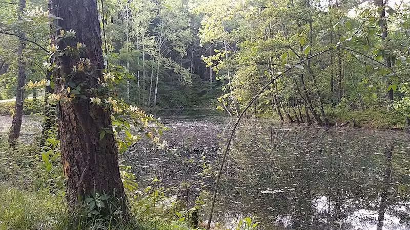 Tecumseh Trail - Lynnville, IN