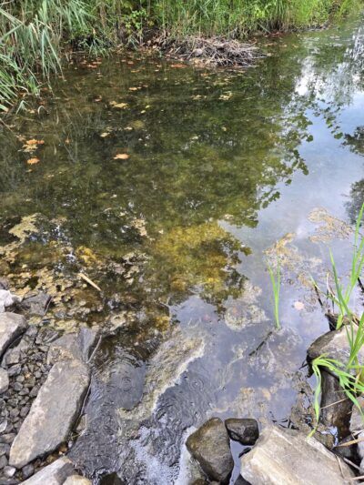 Interlake State Recreation Area - Lynnville, IN