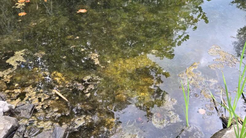 Interlake State Recreation Area - Lynnville, IN
