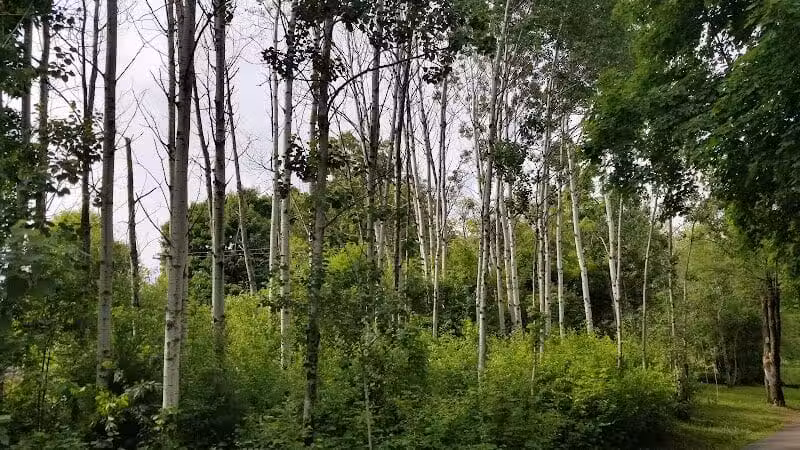Schoonmaker Park - Machesney Park, IL