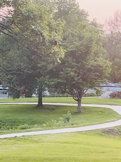 Jackie & Dave Thompson Dog Park - Macomb, IL