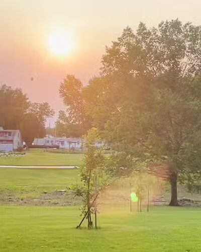 Jackie & Dave Thompson Dog Park - Macomb, IL