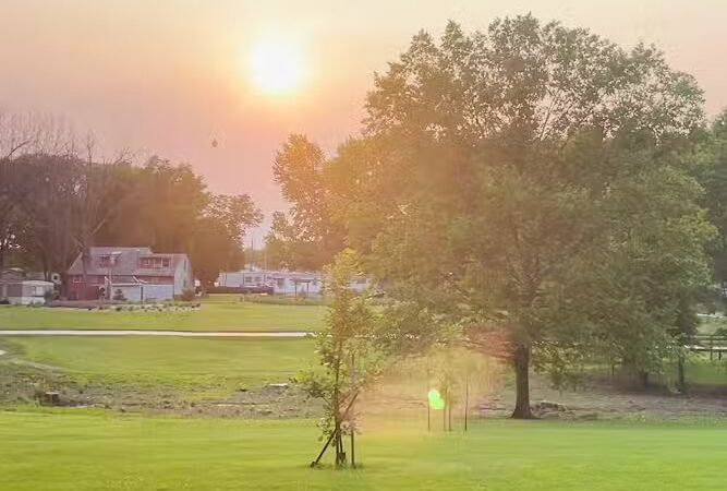 Jackie & Dave Thompson Dog Park - Macomb, IL
