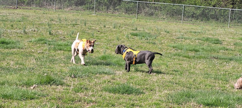 Huntsville Dogspot Creekwood Park - Madison, AL