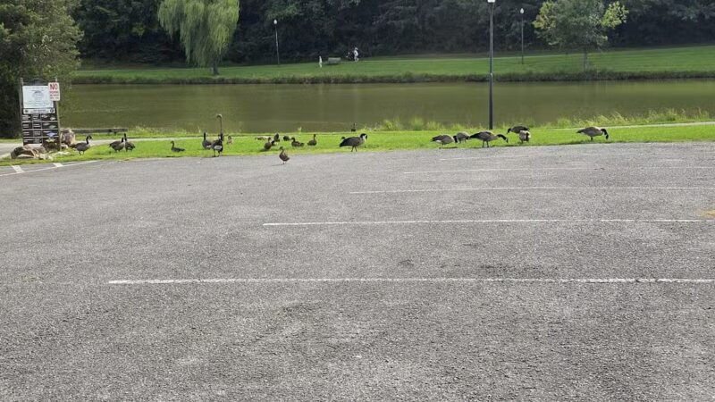 Kefauver Park - Madisonville, TN