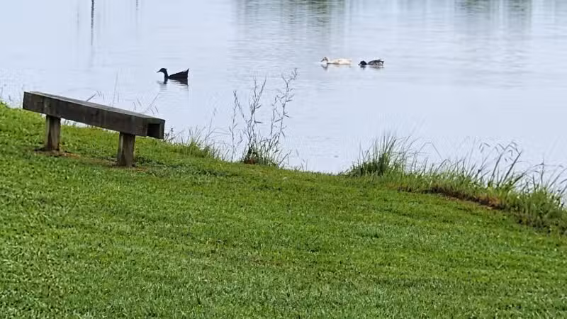 Kefauver Park - Madisonville, TN