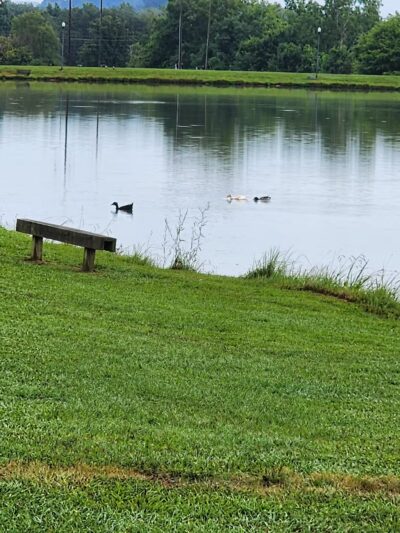 Kefauver Park - Madisonville, TN