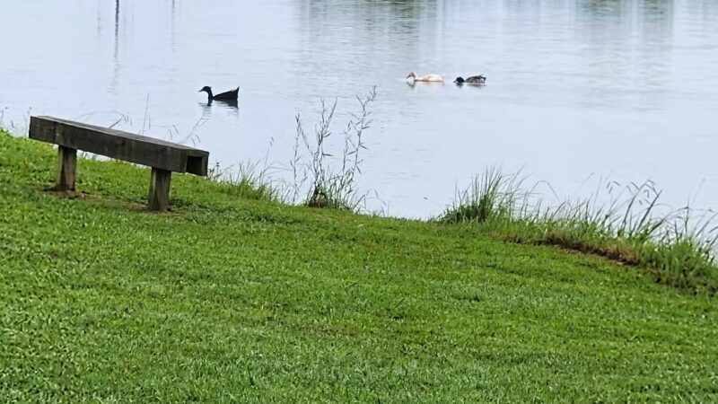 Kefauver Park - Madisonville, TN
