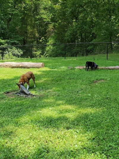 Kefauver Park - Madisonville, TN