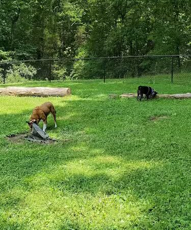 Kefauver Park - Madisonville, TN