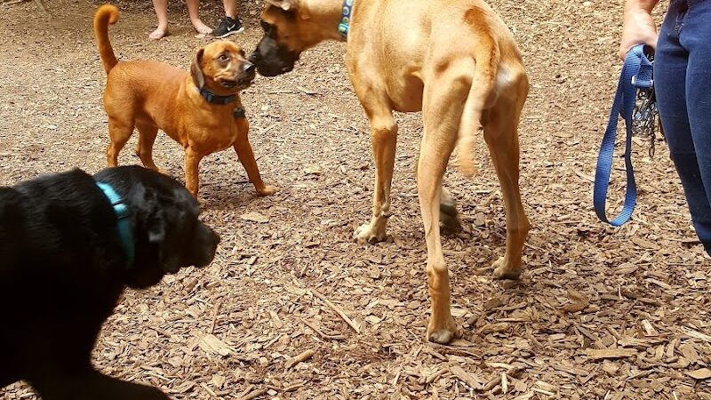 Mount Nebo Park - Manchester, CT
