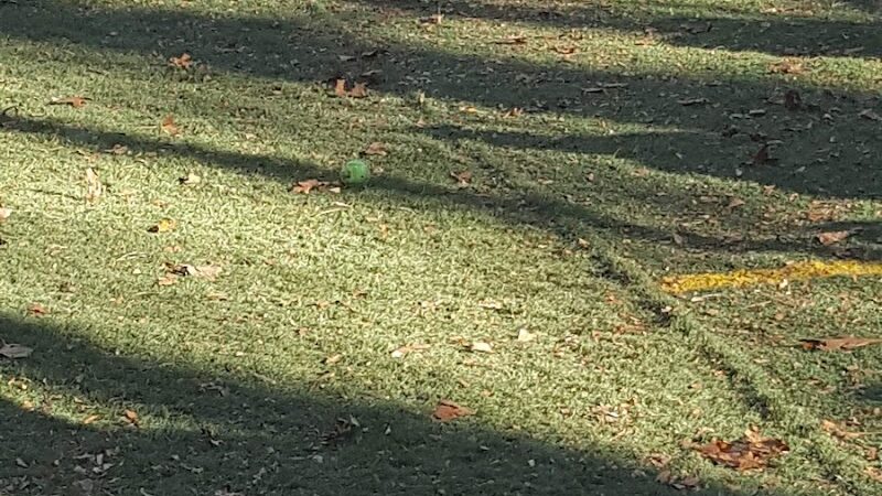 Mount Nebo Park - Manchester, CT